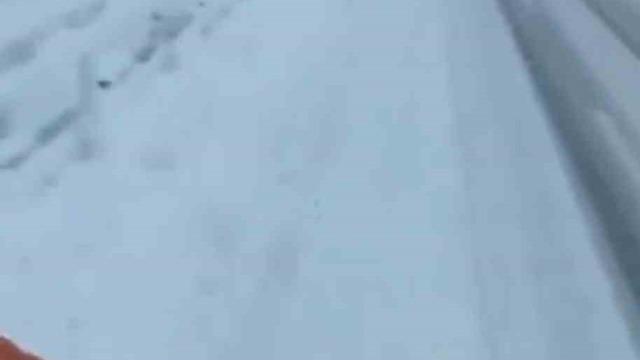 Bingöl’ün yüksek kesimleri beyaza büründü