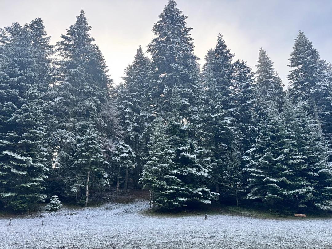 Meteoroloji il il uyardı! Kuvvetli yağış, fırtına ve kar geliyor: 4 ilde sarı alarm! 3
