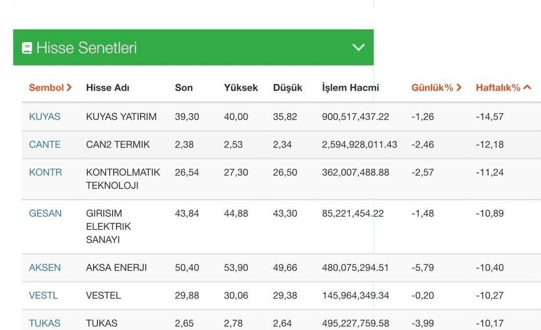 KUYAS, VESTL, CANTE...İşte haftanın en çok kaybettiren hisseleri 1