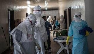 Bu hastalığın tedavisi yok: Salgın yayılıyor!