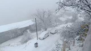 Van’ın Bahçesaray ilçesinde kar etkili oldu