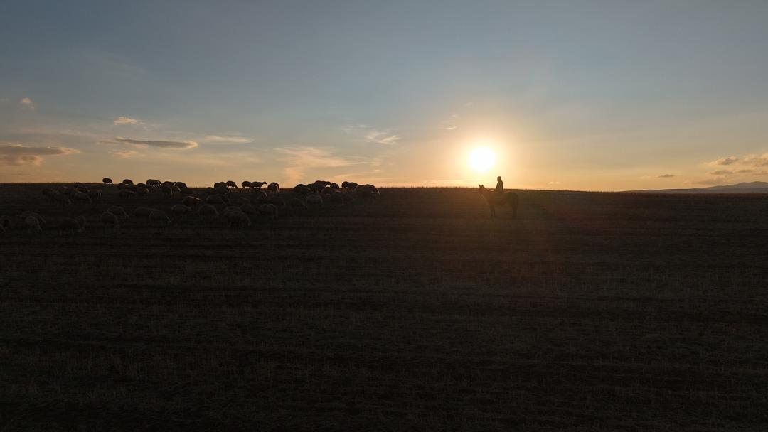 Kanalı vardı! Medyayı bırakıp köyde o işe başladı! Herkese tavsiye etti 2