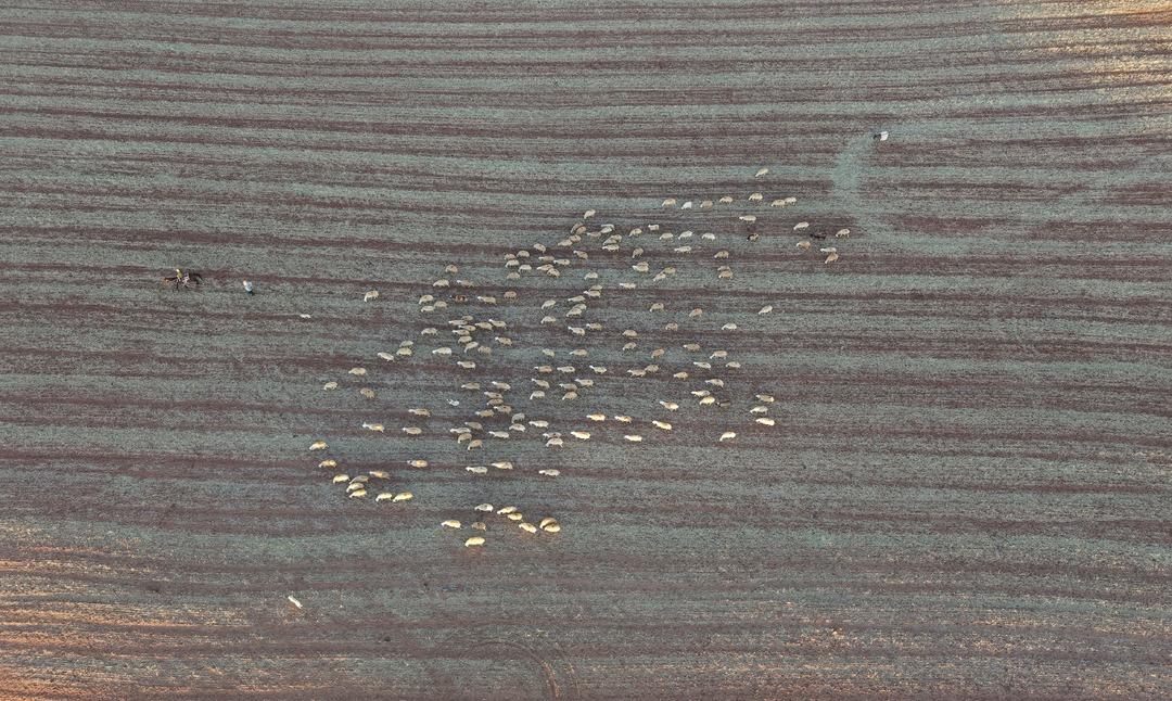 Kanalı vardı! Medyayı bırakıp köyde o işe başladı! Herkese tavsiye etti 3