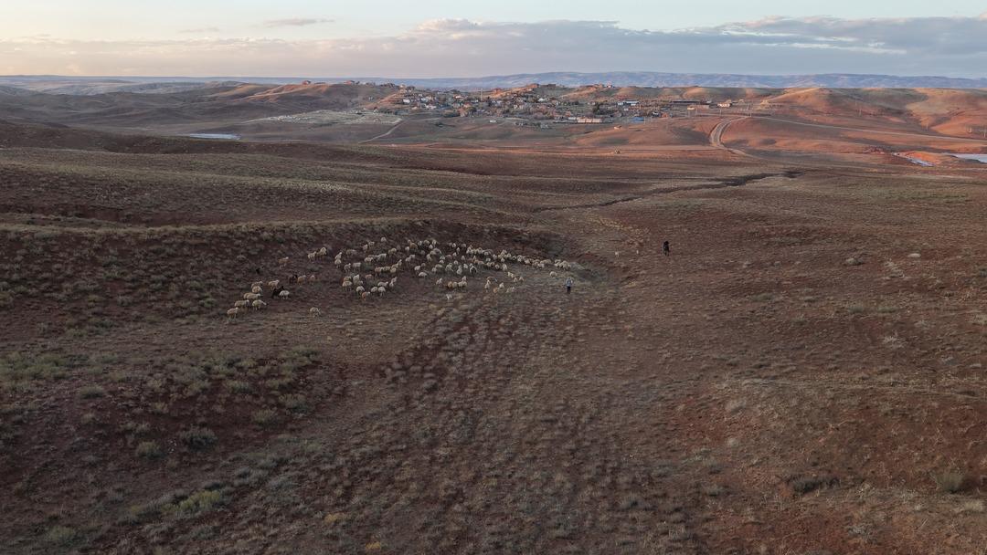 Kanalı vardı! Medyayı bırakıp köyde o işe başladı! Herkese tavsiye etti 5