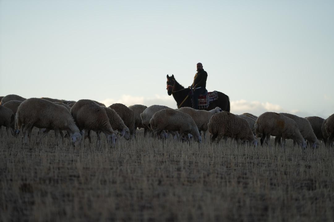 Kanalı vardı! Medyayı bırakıp köyde o işe başladı! Herkese tavsiye etti 4