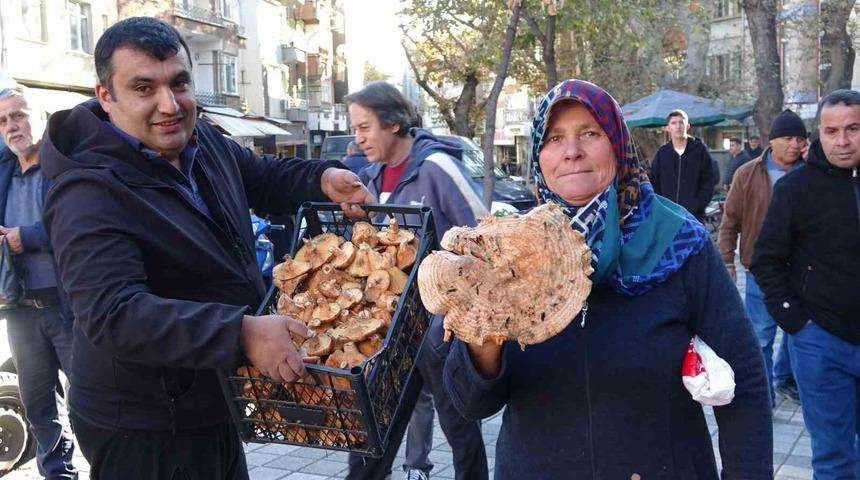 K&uuml;tahya&rsquo;da melki mantarı &ccedil;oğaldı, fiyatlar d&uuml;şt&uuml;