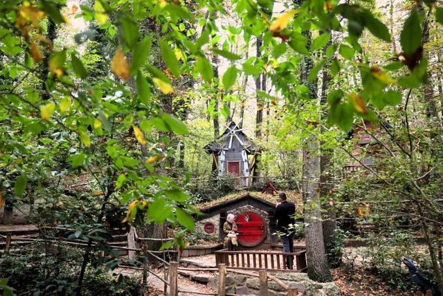 Ormanya sonbahar renkleriyle ziyaretçilerini ağırlıyor 2