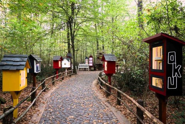 Ormanya sonbahar renkleriyle ziyaretçilerini ağırlıyor 1