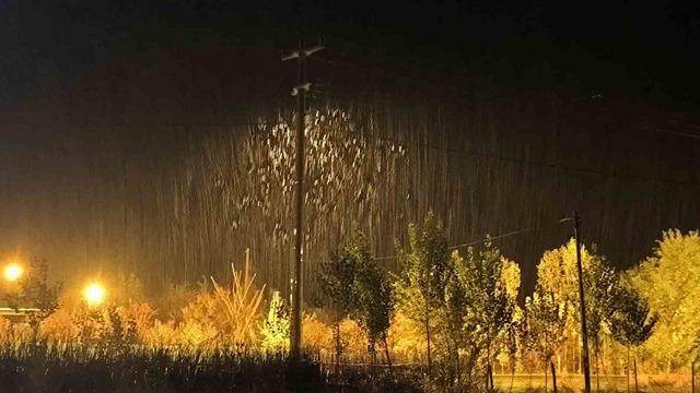 Muş&rsquo;ta 14 k&ouml;y yolu kapandı, 4 ara&ccedil; mahsur kaldı 1