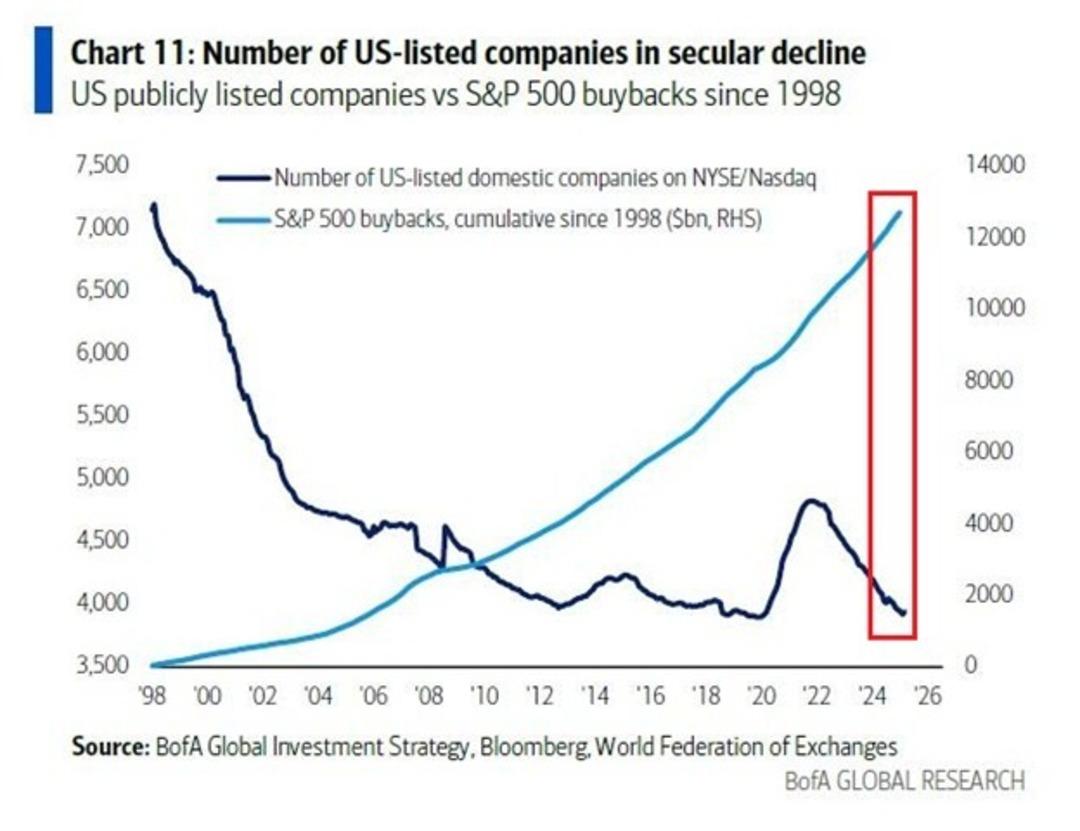 ABD borsaları küçülüyor! Nasdaq ve NYSE’de halka açık şirket sayısı rekor düşüşte 1