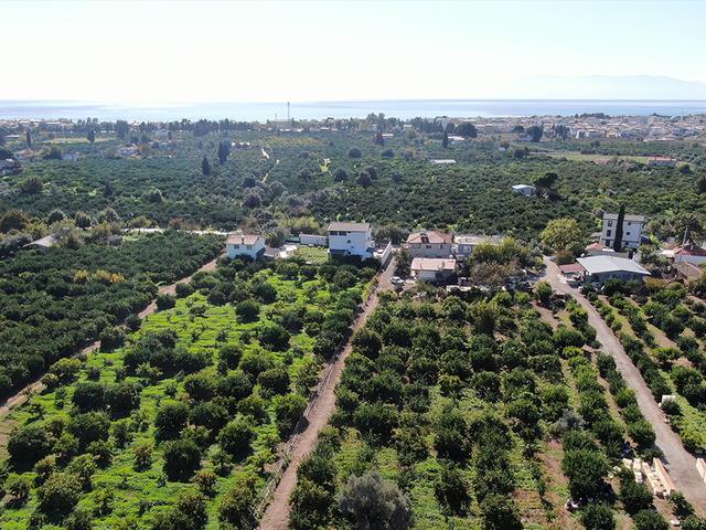 Beklenenden fazla oldu! Büyükşehir ve yurt dışına gönderiliyor