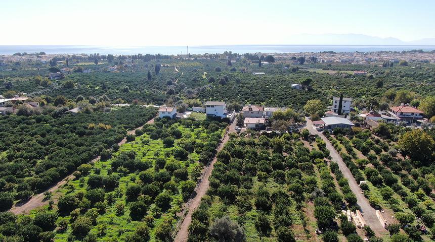 Beklenenden fazla oldu! Büyükşehir ve yurt dışına gönderiliyor