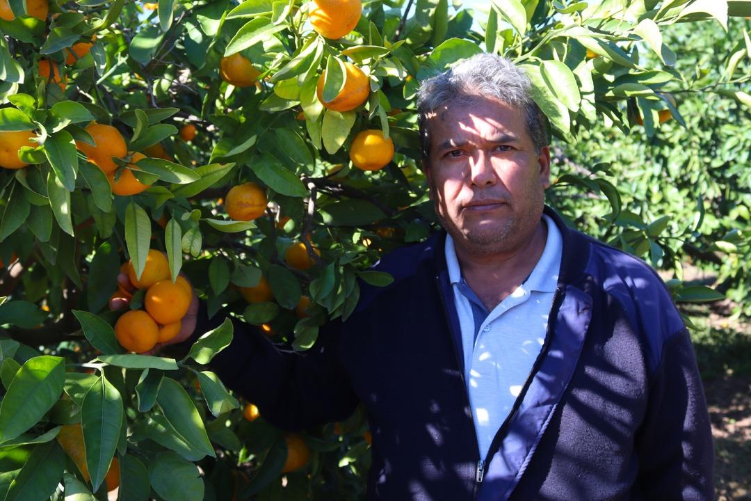 Beklenenden fazla oldu! Büyükşehir ve yurt dışına gönderiliyor 8