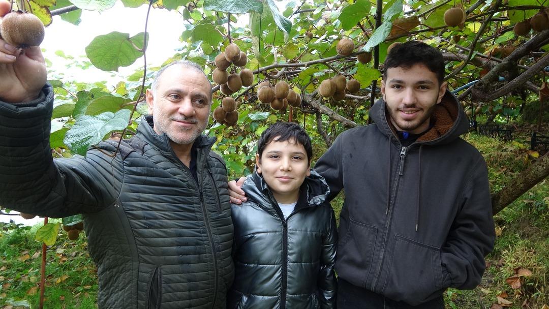 Hepsini söküp onu dikmişlerdi Getirisi daha yüksek! 3 kat fazla Tek sorun var 6