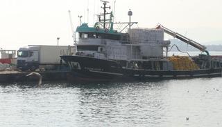 Marmara Denizi'ndeki bolluk balıkçıları Tekirdağ açıklarına çekti