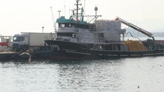 Marmara Denizi'ndeki bolluk balıkçıları Tekirdağ açıklarına çekti