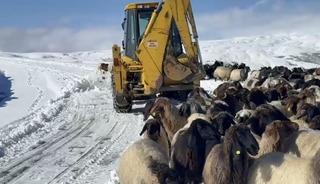 Muş’ta yoğun kar yağışı