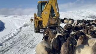 Muş’ta yoğun kar yağışı