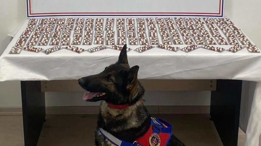 Uyuşturucuyla yakalanan şahıs utuklandı