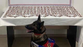 Uyuşturucuyla yakalanan şahıs utuklandı