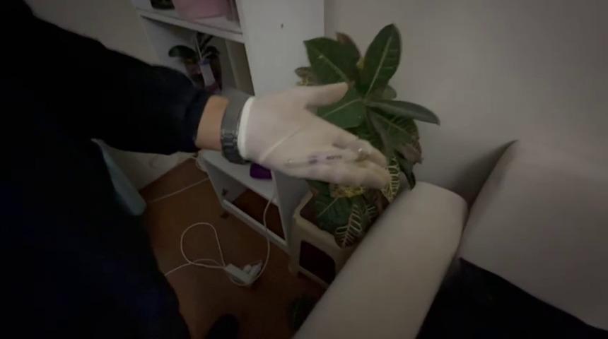 Satışa hazır hale getirilen uyuşturucuları jandarma yakaladı: 1 tutuklama