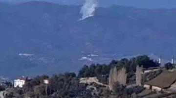 Seydikemer’de orman yangını