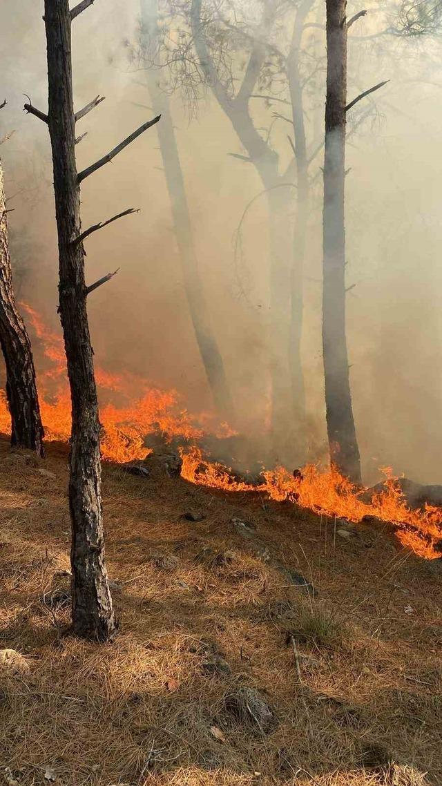 Seydikemer&rsquo;de orman yangını 3