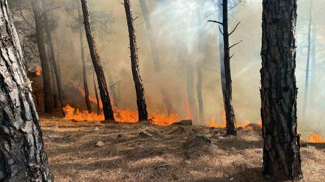 Seydikemer&rsquo;de orman yangını 2