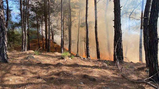Seydikemer&rsquo;de orman yangını 1