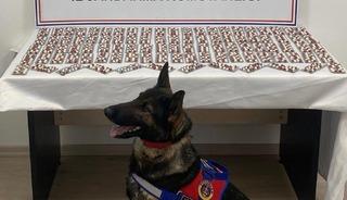 1344 uyuşturucu hapla yakalandı! Gözaltına alınıp tutuklandı