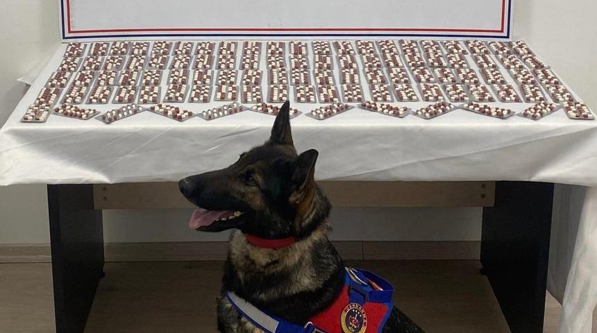 1344 uyuşturucu hapla yakalandı! Gözaltına alınıp tutuklandı