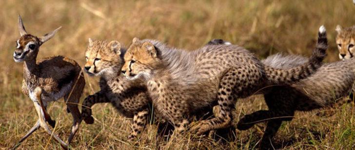 Avını trafikte yakaladı! G5