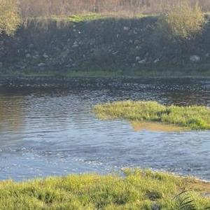 Yer: Bursa! Oyunun sonu acı bitti! Küçük çocuk feci şekilde can verdi