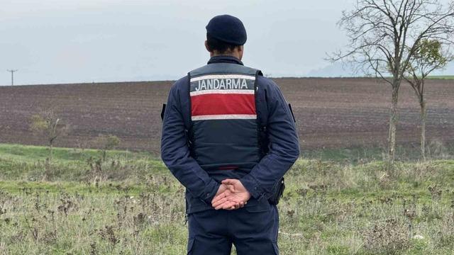 Yer: Edirne! Mantar toplarken top mermisi buldular