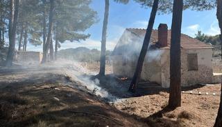 Milas’taki orman yangınları büyümeden söndürüldü