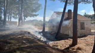 Milas’taki orman yangınları büyümeden söndürüldü