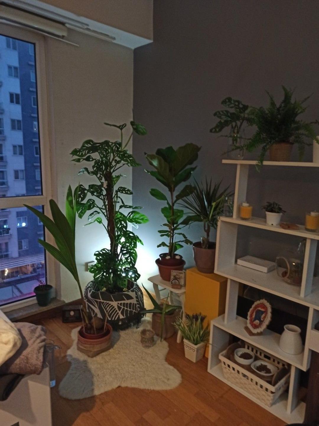 Şu soğuk havalarda evini daha sıcak gösterecek dekorasyon önerileri 8