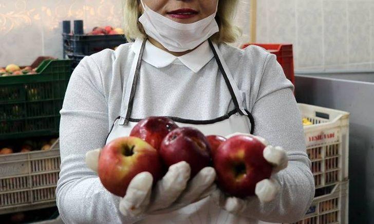 Misket elmasından üretti, yurt dışına açıldı! G5