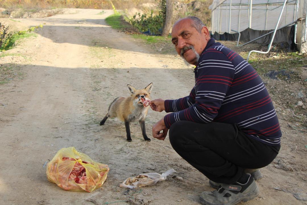 Küs kardeşlerin yarışı: Biri tilkilere özel mangal yaktı, diğeri pasta yaptırdı!  6