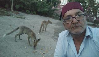 Tilkilere insandan iyi muamele: Onlara özel mangal ve pasta!