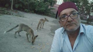 Küs kardeşlerin yarışı: Biri tilkilere özel mangal yaktı, diğeri pasta yaptırdı! 