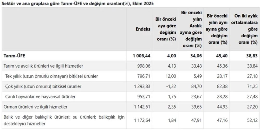 TÜİK açıkladı! Çiftçinin ekim ayı enflasyonu belli oldu 1