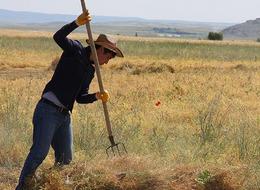 TÜİK açıkladı! Çiftçinin ekim ayı enflasyonu belli oldu