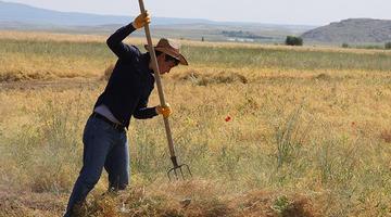 TÜİK açıkladı! Çiftçinin ekim ayı enflasyonu belli oldu