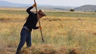 TÜİK açıkladı! Çiftçinin ekim ayı enflasyonu belli oldu
