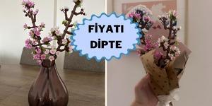 Şu an en uygun fiyatında!