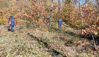 Mantar toplamak için gittiği ormanda kaybolan kişi bulundu