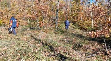 Mantar toplamak için gittiği ormanda kaybolan kişi bulundu