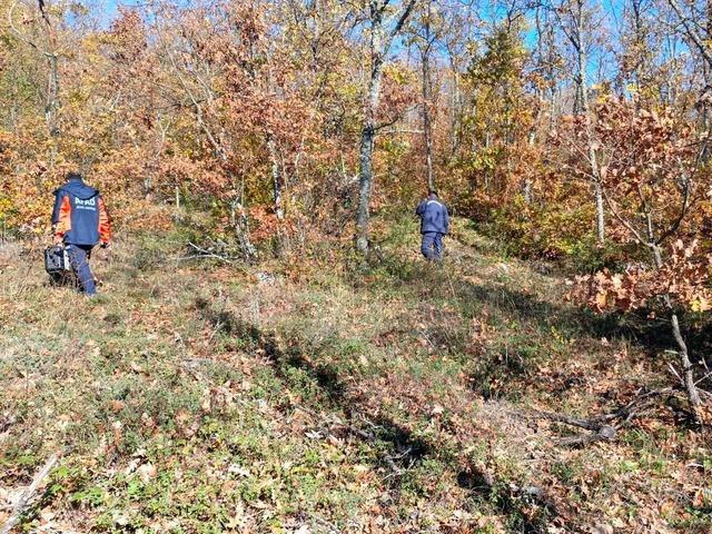 Mantar toplamak için gittiği ormanda kaybolan kişi bulundu