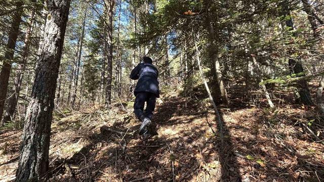 Ormanda kaybolan 88 yaşındaki adamdan acı haber: Dere yatağında cansız bedenine ulaşıldı 3